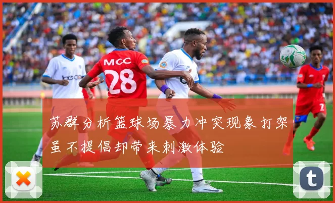 苏群分析篮球场暴力冲突现象打架虽不提倡却带来刺激体验