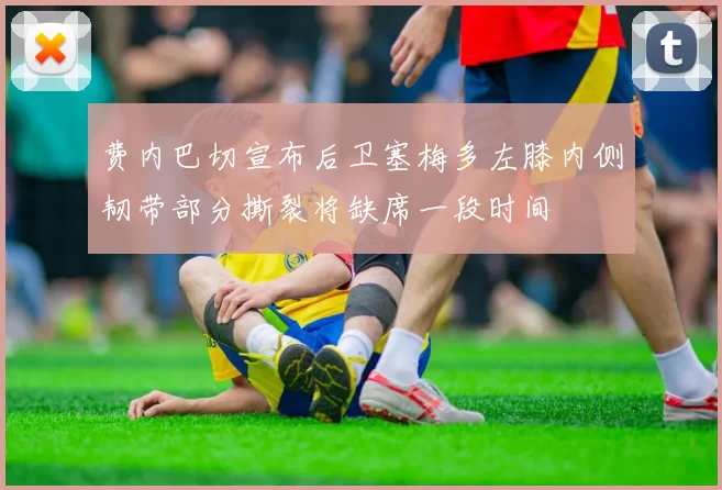 费内巴切宣布后卫塞梅多左膝内侧韧带部分撕裂将缺席一段时间